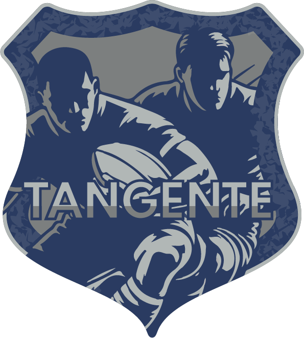 Version officielle du branding